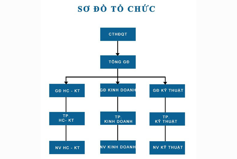 CƠ CẤU TỔ CHỨC